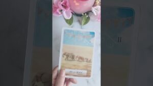 Leia mais sobre o artigo 見つけた方へ一年後のあなたから緊急伝言❕