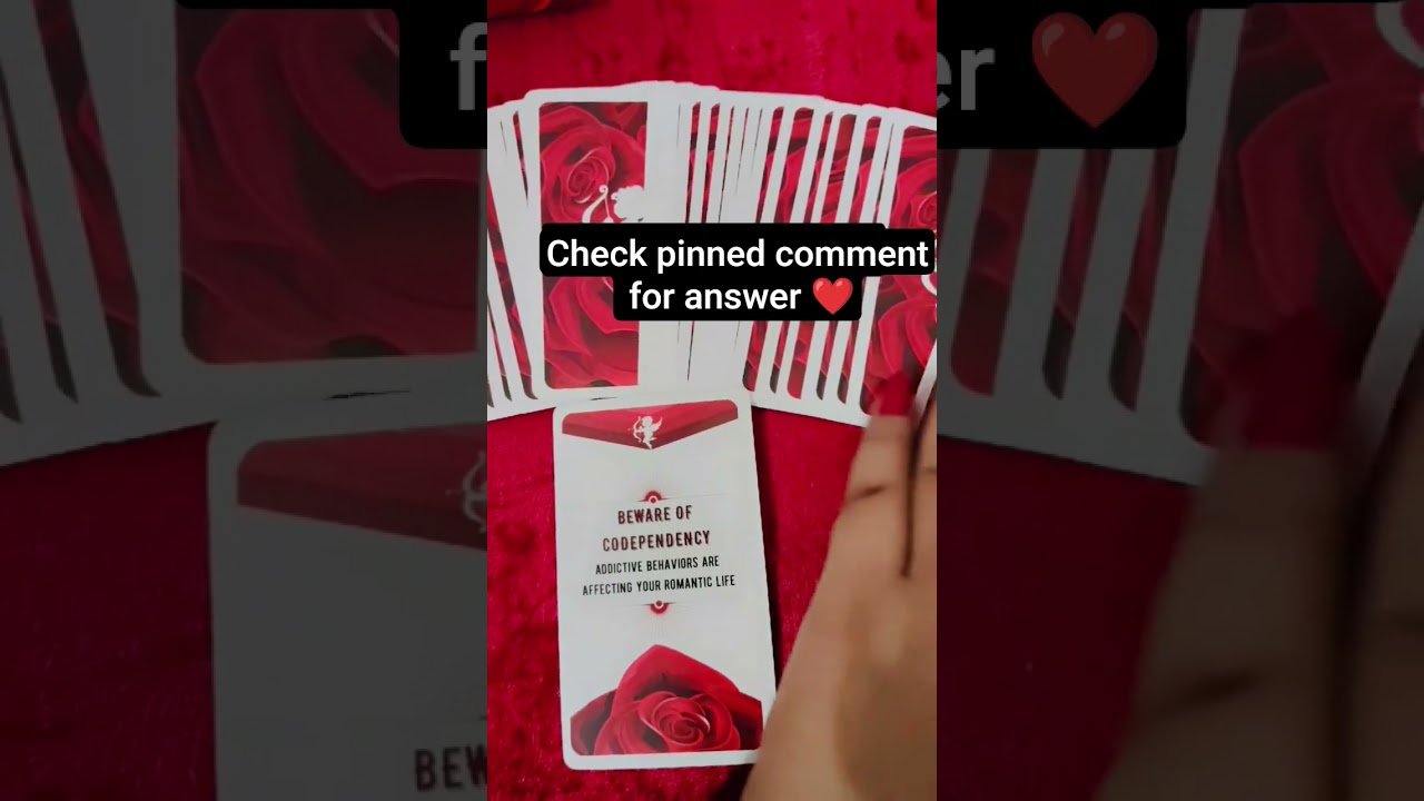 No momento, você está visualizando is this connection meant to grow into true love 💕 #tarot #angeloracle #tarotonline  #taroteveryday