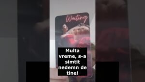 Leia mais sobre o artigo N-am întâlnit niciodată pe cineva ca tine!! #tarot #intrebari #24february