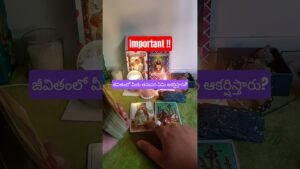 Leia mais sobre o artigo #tarot