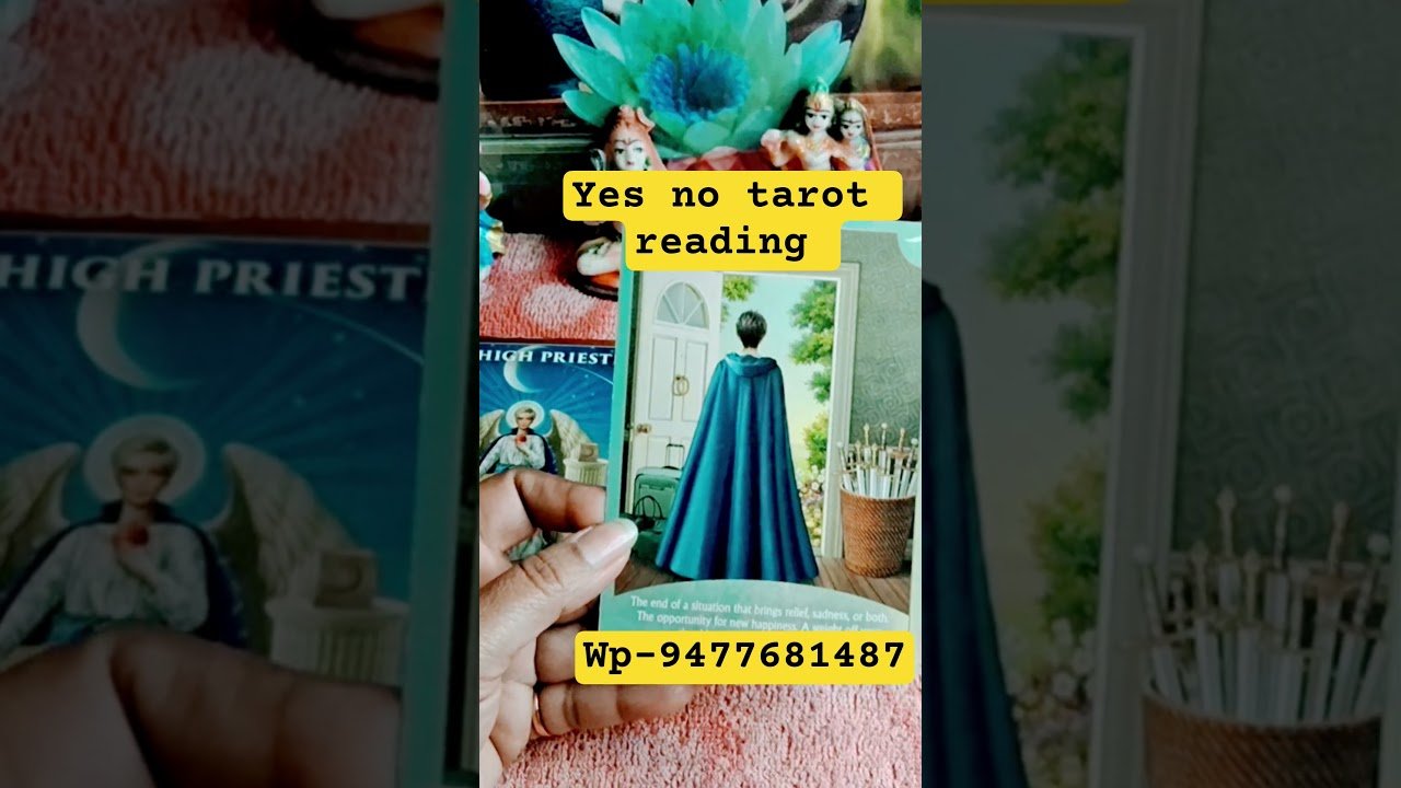 No momento, você está visualizando #tarot #angel #yesnoreading #viral #shortsviral @tumpa01