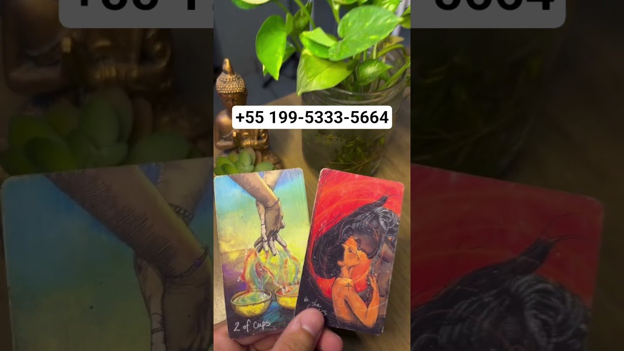 No momento, você está visualizando #tarot #espiritualidade