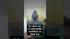 Leia mais sobre o artigo Ți se va întâmpla ceva incredibil!! #tarot #intrebari #5february