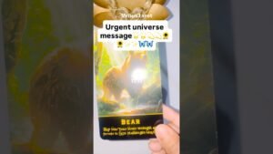 Leia mais sobre o artigo Urgent universe message #tarot #love #viral #trend #trending #shorts #shortsfeed #shortsyoutube