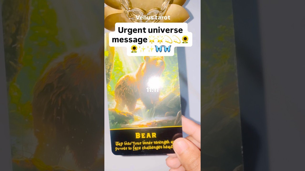No momento, você está visualizando Urgent universe message #tarot #love #viral #trend #trending #shorts #shortsfeed #shortsyoutube