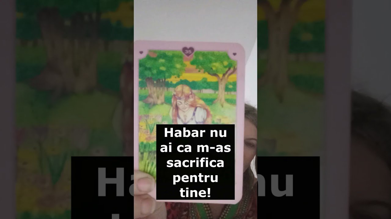 No momento, você está visualizando Vreau să te duc în locul meu special!! #tarot #intrebari #22february