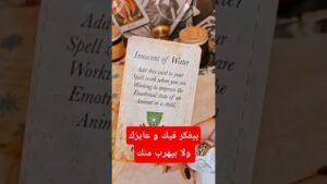 Leia mais sobre o artigo مشاعره هتروح بالعلاقة لفين 💌😲 #shorts #اكسبلور #viral #tarot #motivation