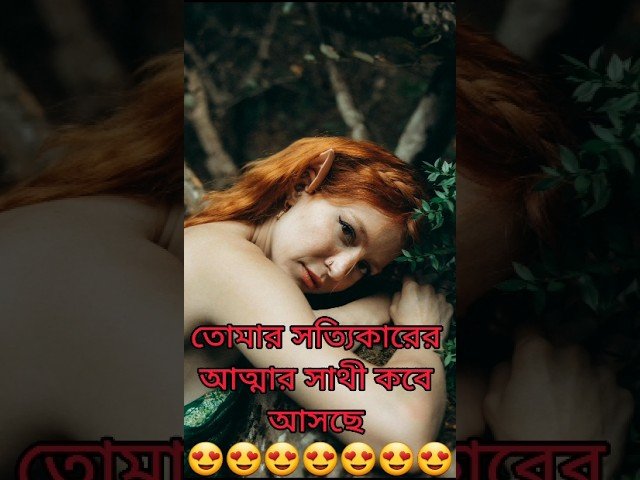 No momento, você está visualizando ❤️কবে আসবে তোমার সত্যিকারের সৌলমেট #shorts #shortsfeed #tarotreading #tarot #viral #love #shortvideo