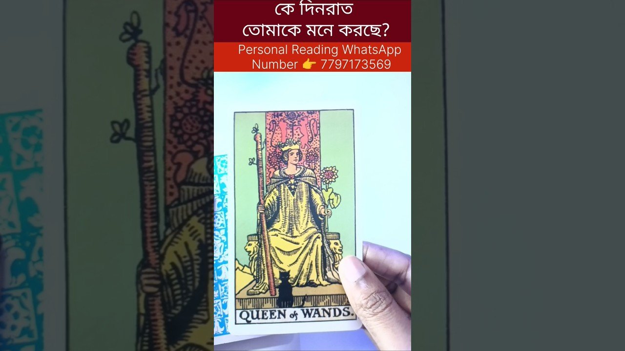No momento, você está visualizando কে দিনরাত তোমাকে মনে করছে? #tarot #bengalitarotreading #tarotcardreading #reelschallenge #reels