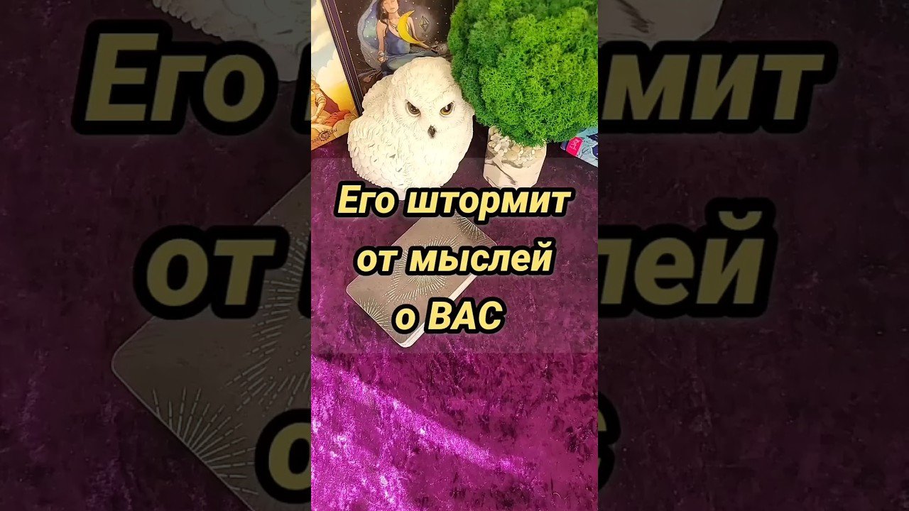 No momento, você está visualizando Его ШТОРМИТ когда он думает о вас