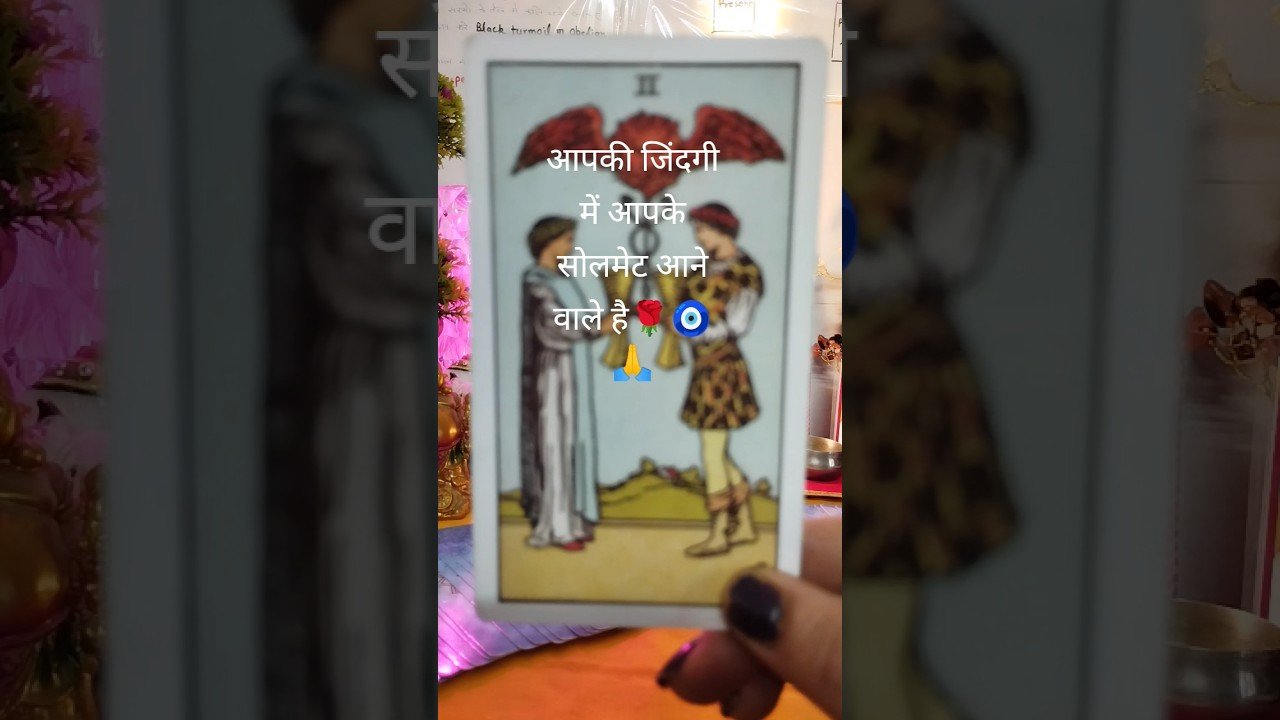 No momento, você está visualizando आप अपने सोलमेट से मिलने वाले है🌹🧿 🙏 #tarot #888tarotcardreadingrashifal