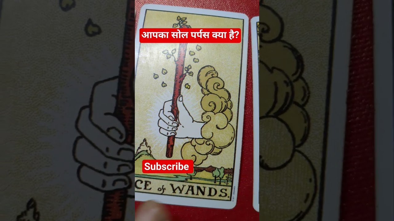 No momento, você está visualizando आपका सोल पर्पस क्या है? #tarot #shots #soulpurpose #tarotreading #tarotguidance #spiritualmessage