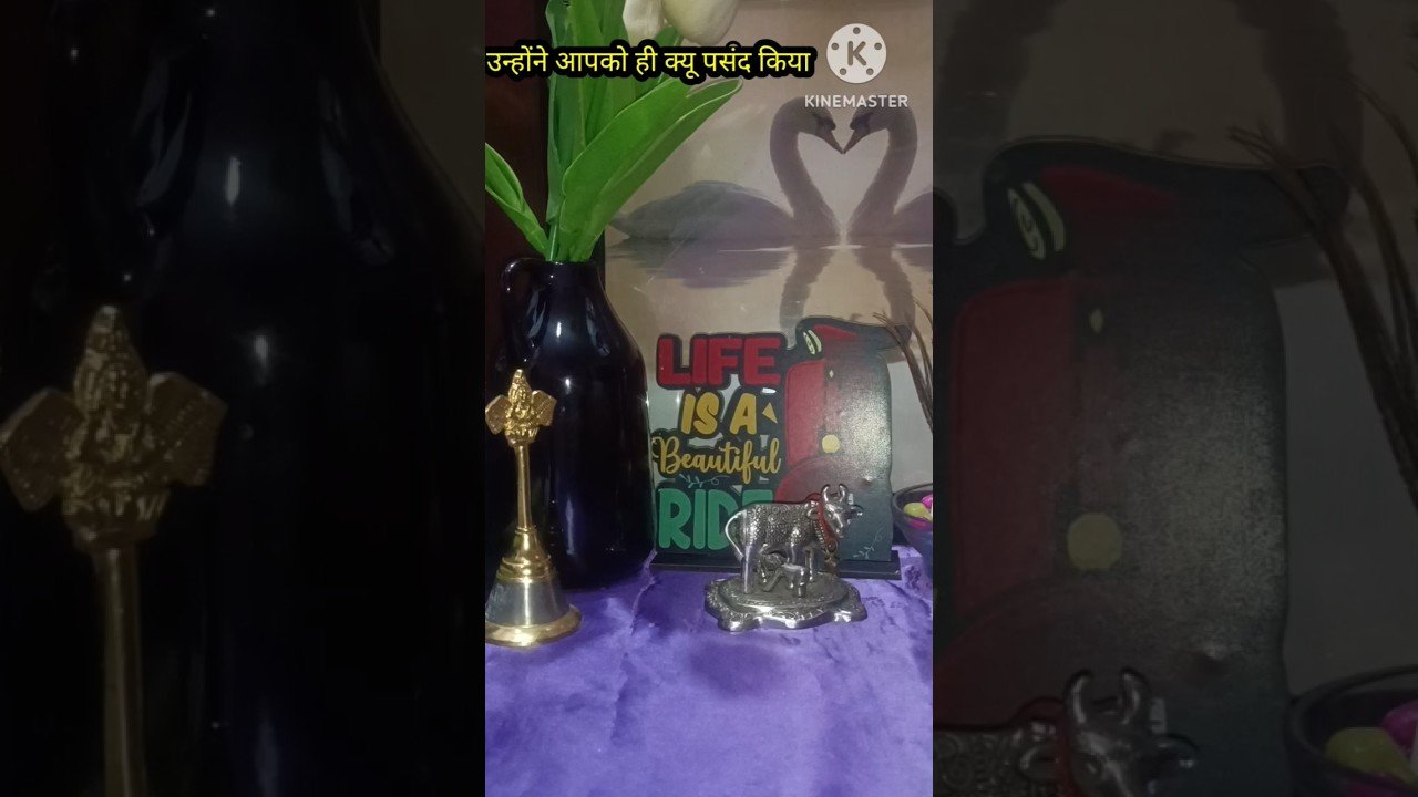 No momento, você está visualizando उनकी पसंद आप ही क्यूं हो #Tarot