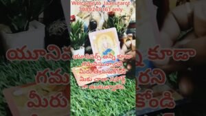 Leia mais sobre o artigo ఈరోజు మీకు ఎలా ఉండబోతుంది ఈ వీడియోలో చూద్దాం#jaanutarot #tarot