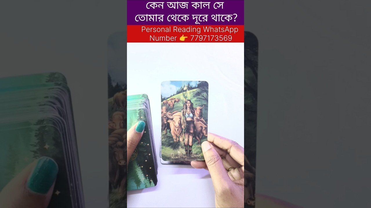 No momento, você está visualizando কেন আজকাল সে তোমার থেকে দূরে থাকে? #tarot #bengalitarotreading #currentfeelings  #cardreading