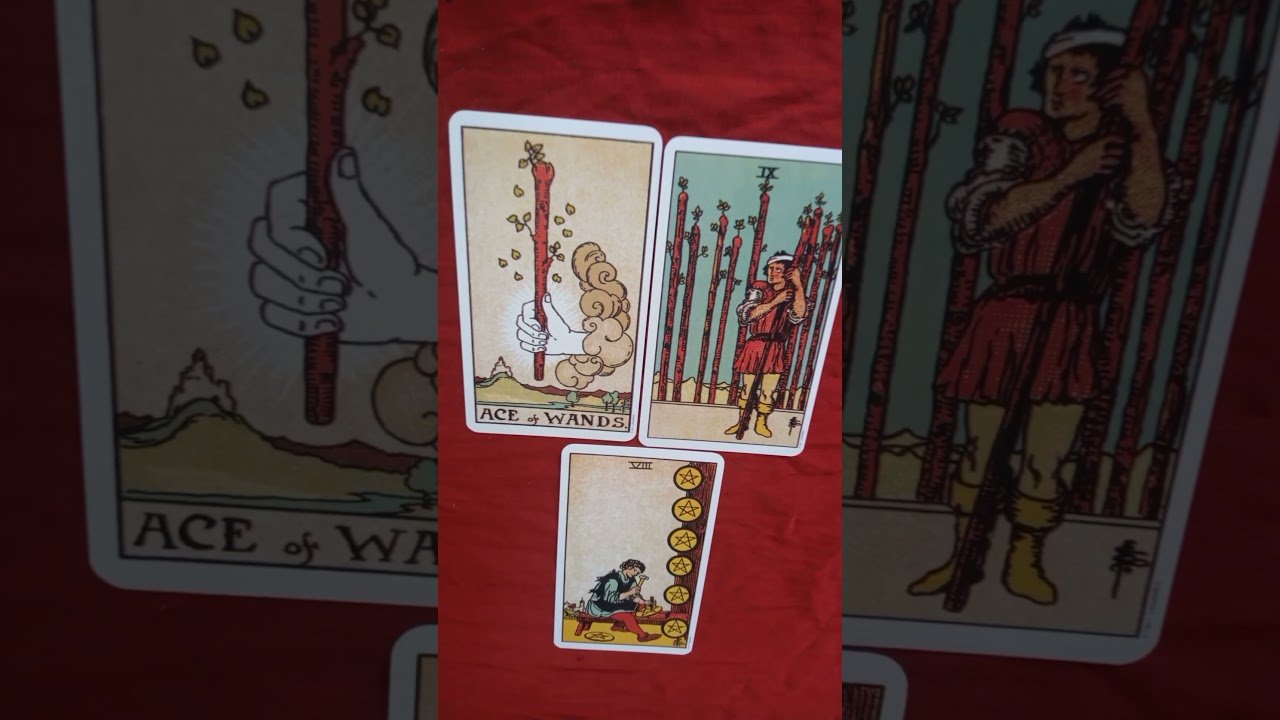 No momento, você está visualizando 😍വരുന്നത് നിങ്ങളുടെ ദിനങ്ങൾ ആണ്😍. #viral #tarot #trending #shots