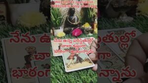 Leia mais sobre o artigo మీపర్సన్ మీ గురించి ఏం చెప్తున్నారో చూడండి #tarot #fortunetelling