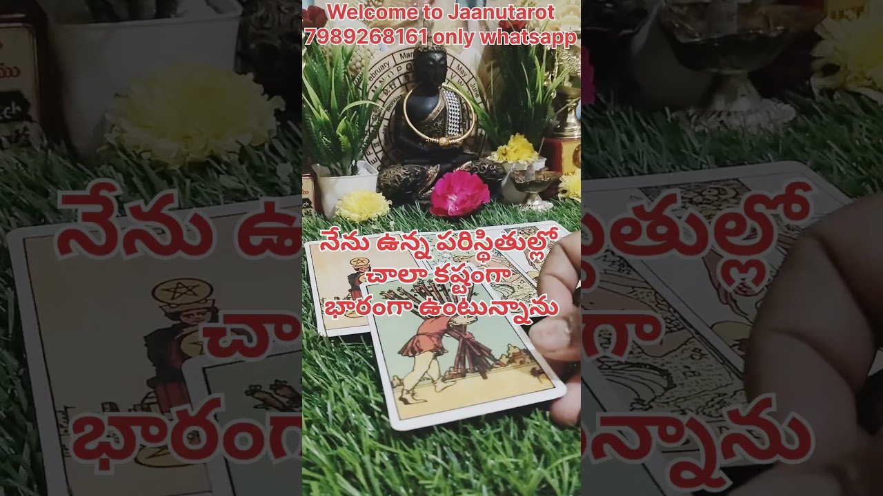 No momento, você está visualizando మీపర్సన్ మీ గురించి ఏం చెప్తున్నారో చూడండి #tarot #fortunetelling