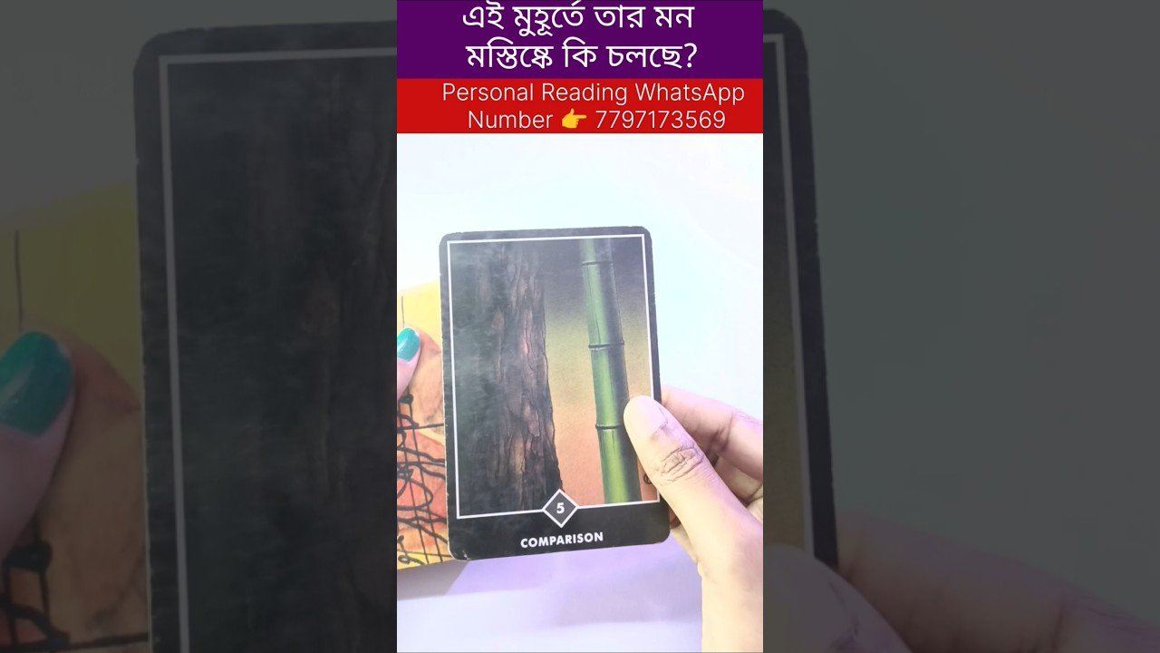 No momento, você está visualizando এই মুহূর্তে তার মন মস্তিষ্কে কি চলছে? #currentfeelings #tarot #bengalitarotreading #reelschallenge