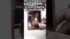 Leia mais sobre o artigo #таро #лунушка #tarot #порча #гадание