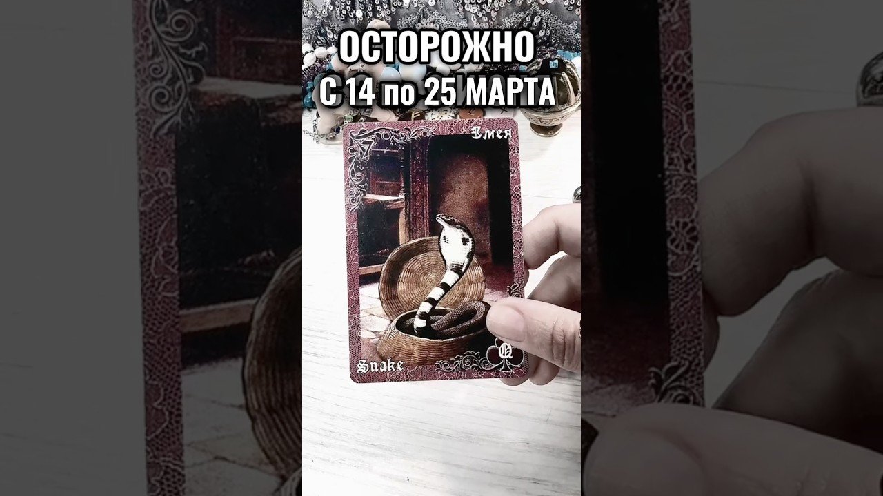 No momento, você está visualizando #таро #лунушка #tarot #порча #гадание