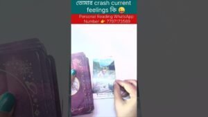 Leia mais sobre o artigo তোমার crash current feelings কি 😜 #tarot #reelschallenge #shorts #currentfeelings #soulmate