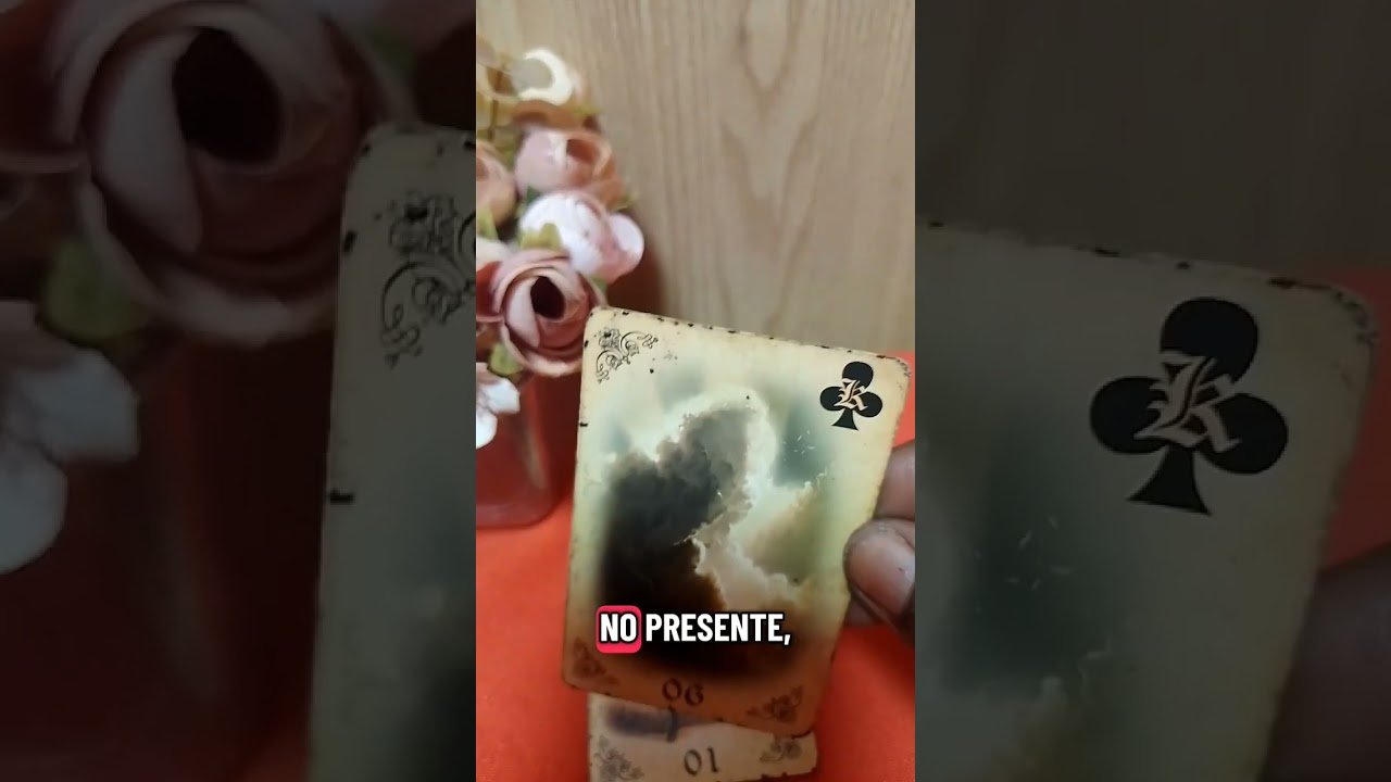 No momento, você está visualizando ✨🔮 O Tarô escolheu você hoje #Tarot #TarotReading #TarotDoDia #MensagemDoUniverso #Espiritualidade