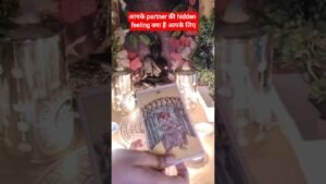 Leia mais sobre o artigo आपके partner की hidden feeling क्या हैं आपके लिए♥️♥️#tarot #hinditarotreading#love