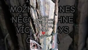 Leia mais sobre o artigo 18.3.2026 🃏🙏🏻❤️🧚🏻‍♀️#maishaenergie #tarot #karty #vykladkaret #vzkaz #shorts #energie #vykladtarotu