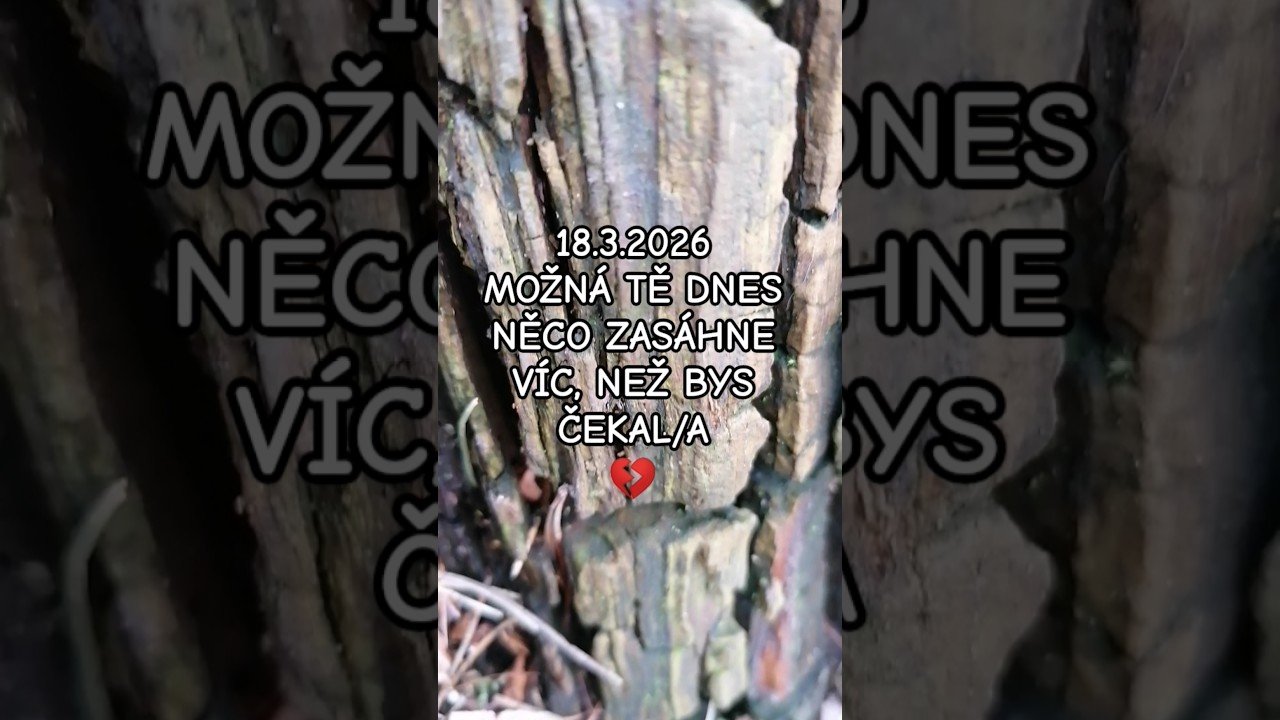 No momento, você está visualizando 18.3.2026 🃏🙏🏻❤️🧚🏻‍♀️#maishaenergie #tarot #karty #vykladkaret #vzkaz #shorts #energie #vykladtarotu