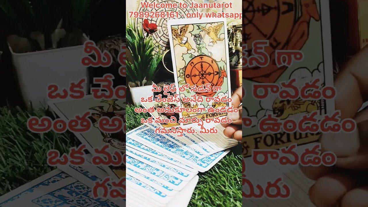 No momento, você está visualizando ఈ రోజు మీకు ఎలా ఉండబోతుందో ఈ వీడియో చూద్దాం #tarot #viral