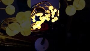 Leia mais sobre o artigo A day with our Lovable Subscriber #shorts #shortsfeed #tarot