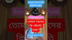 Leia mais sobre o artigo তোমার শত্রুদের কি পরিনতি হচ্ছে? #shorts #tarot #best #aneekshadeytarot #bangla #new #enemy #shatru