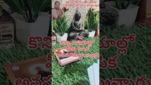 Leia mais sobre o artigo ఈరోజు యూనివర్స్ మీకేం గైడెన్స్ ని ఇవ్వబోతున్నారు చూద్దాం#tarot #astrology