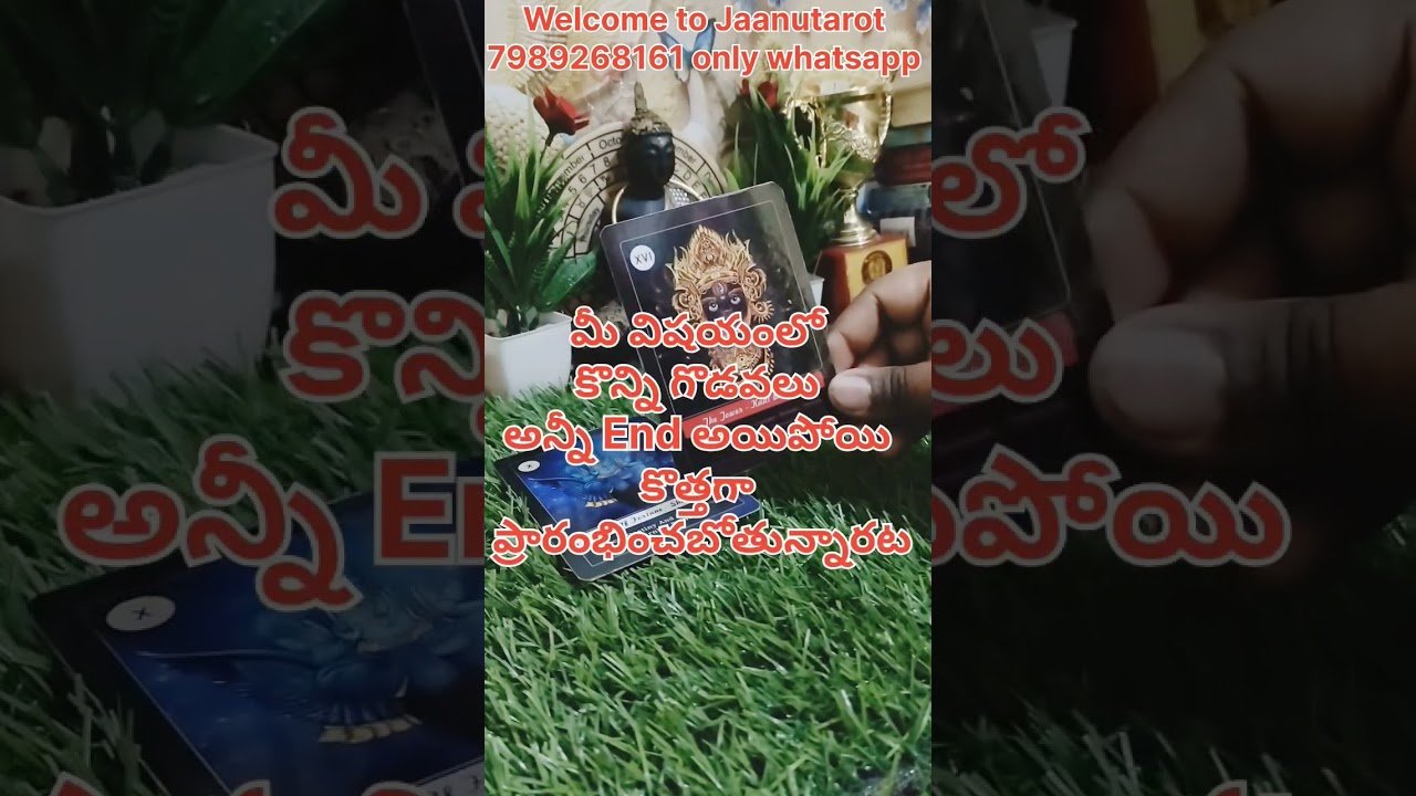 No momento, você está visualizando ఈరోజు మీకోసం కరెంట్ ఫీలింగ్స్ #tarot #viral #tarotreading