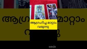 Leia mais sobre o artigo മാറ്റം വരുന്നു #tarot #shortvideo #shortsfeed