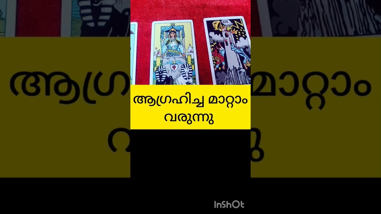 No momento, você está visualizando മാറ്റം വരുന്നു #tarot #shortvideo #shortsfeed