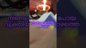 Leia mais sobre o artigo നിങ്ങളെ ചതിച്ചു പോയ വ്യക്തിയുടെ ഇപ്പോഴത്തെ അവസ്ഥ#tarot#general#reading