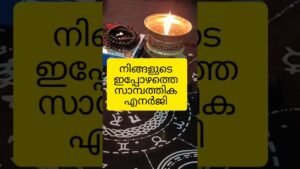 Leia mais sobre o artigo സാമ്പത്തിക ഞെരുക്കത്തിലാണോ?#tarot