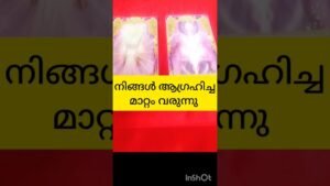 Leia mais sobre o artigo നിങ്ങളുടെ ആഗ്രഹം നടക്കും #tarot #shortvideo #shortsfeed
