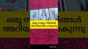Leia mais sobre o artigo നിങ്ങളുടെ പ്രാർത്ഥന നടക്കും #tarot #shortsfeed #shortvideo