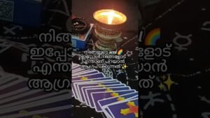 Leia mais sobre o artigo നിങ്ങളുടെ ആത്മാവ് എന്താണ് നിങ്ങളോട് പറയുന്നത്? #tarot