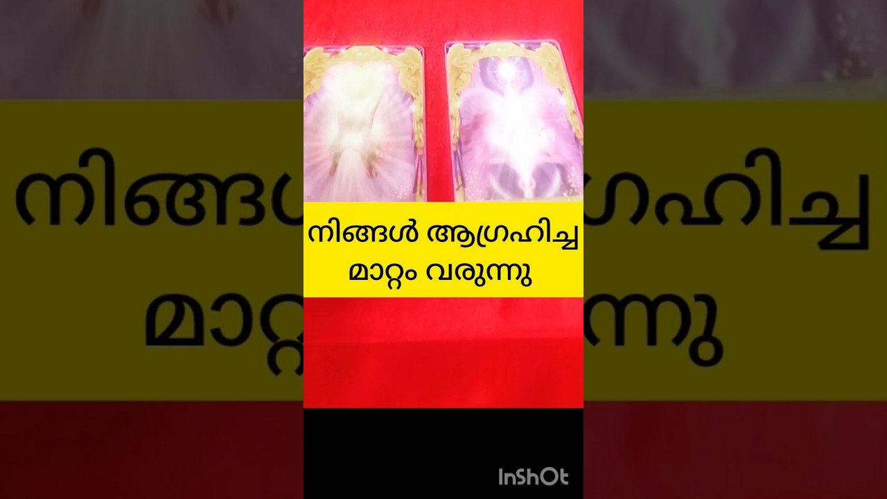 No momento, você está visualizando നിങ്ങളുടെ ആഗ്രഹം നടക്കും #tarot #shortvideo #shortsfeed