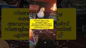 Leia mais sobre o artigo നിങ്ങൾ കാത്തിരുന്ന മാറ്റങ്ങൾ വേഗത്തിൽ വരുന്നു#tarot