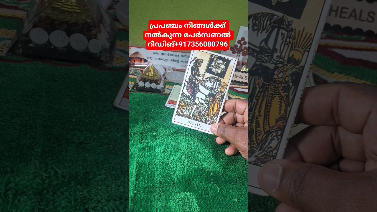 No momento, você está visualizando ഇത് നിങ്ങളുടെ റീഡിങ് #tarot #motiationalspeech #astrology #shortsviral #pravasi
