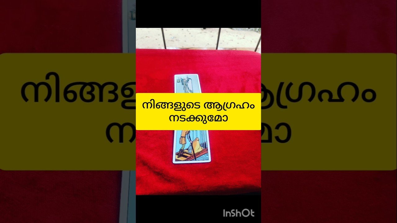 No momento, você está visualizando ആഗ്രഹം നടക്കുമോ #tarot #shortvideo #shortsfeed