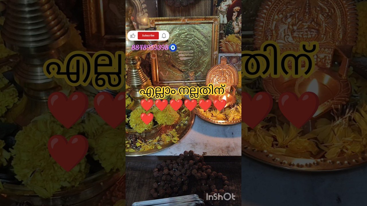 No momento, você está visualizando പുതിയ തുടക്കം ❤️❤️❤️❤️❤️#myworldtarot #fortunetelling # relationship#malayalam