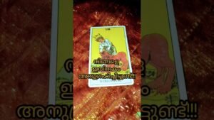 Leia mais sobre o artigo ധൈര്യമായി മുന്നോട്ട് തന്നെ പോകുക #tarot