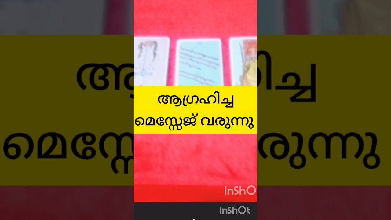 No momento, você está visualizando മെസ്സേജ് വരുന്നു #tarot #shortvideo #shortsfeed