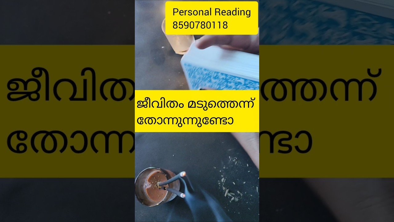 No momento, você está visualizando ജീവിതം മടുത്തെന്ന് തോന്നുന്നുണ്ടോ 🙏#timelessreading #collectivereading #tarot